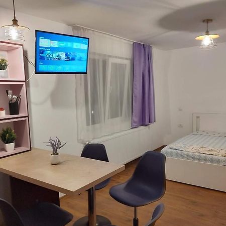 Garsoniera Dania&Petru 1 Apartment Tirgu Ocna Exterior photo