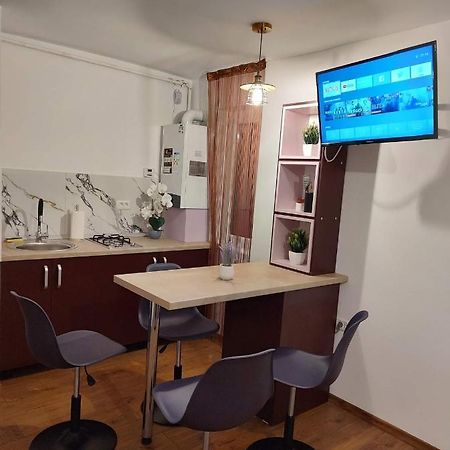 Garsoniera Dania&Petru 1 Apartment Tirgu Ocna Exterior photo