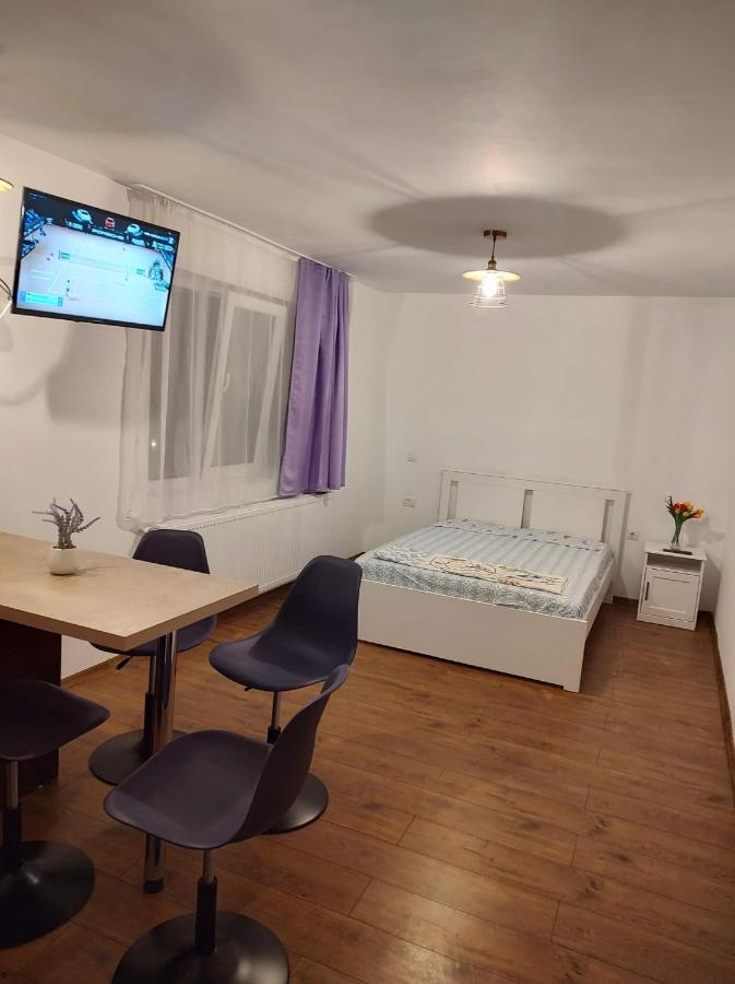 Garsoniera Dania&Petru 1 Apartment Tirgu Ocna Exterior photo