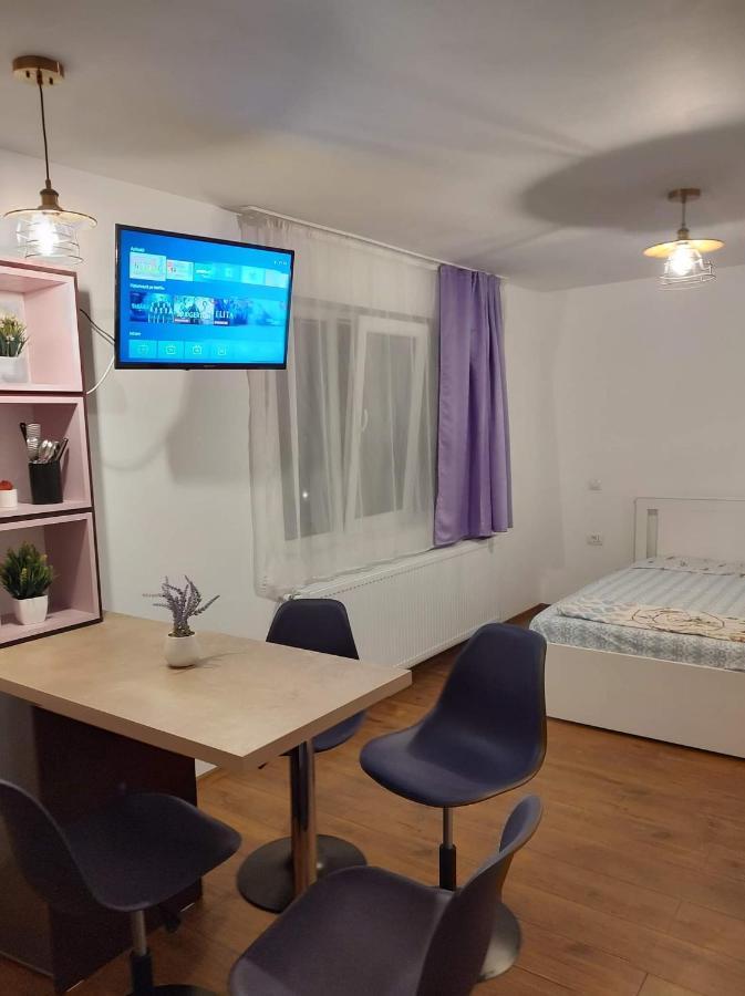 Garsoniera Dania&Petru 1 Apartment Tirgu Ocna Exterior photo